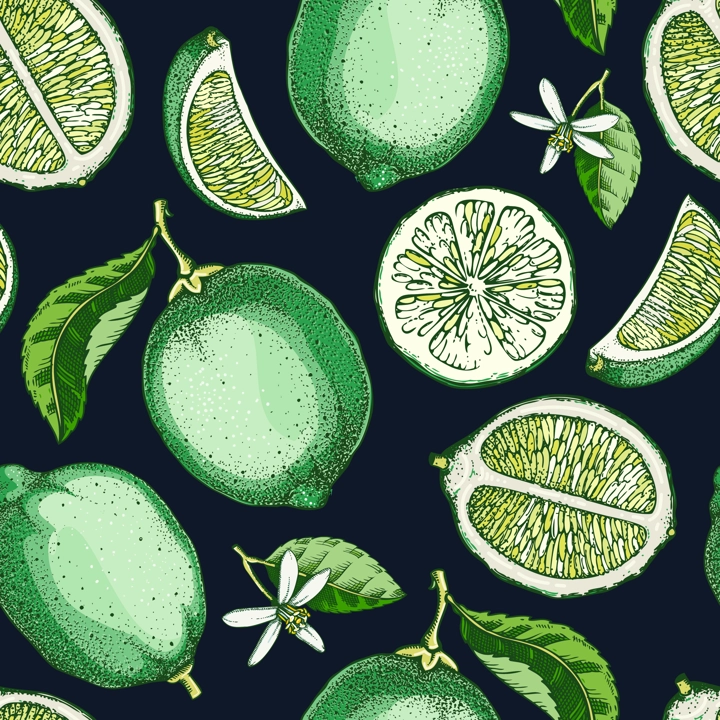 Lime fruit background. Citrus fruit sketches. Watercolor style botanical design. Exotic plants seamless pattern. Hand-drawn vector illustration. NOT AI generated